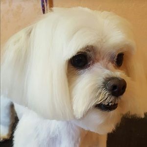 Meet your Posher, Tonya